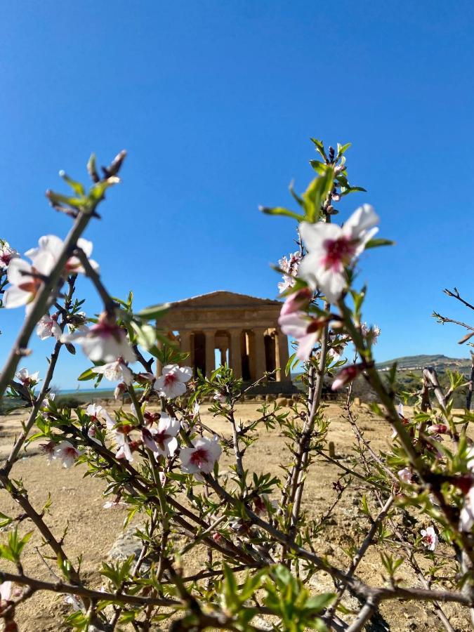 B&B Le Sorelle San Leone Eksteriør bilde